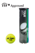 Yonex TB-TR4NEX TOUR (for tournament/practice) Tennis Balls